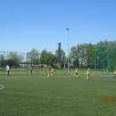 pino 16